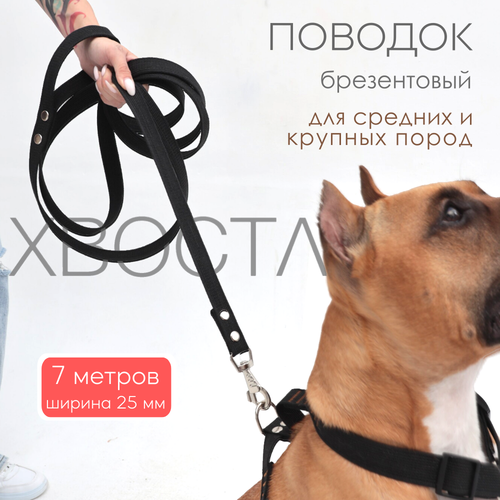 Поводок для собак Хвостатыч брезентовый с карабином (Чёрный) 7 м х 25 мм