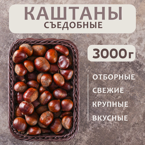 Изображение товара Каштан съедобный в скорлупе, "Грузия", 3 кг, урожай 2025 года
