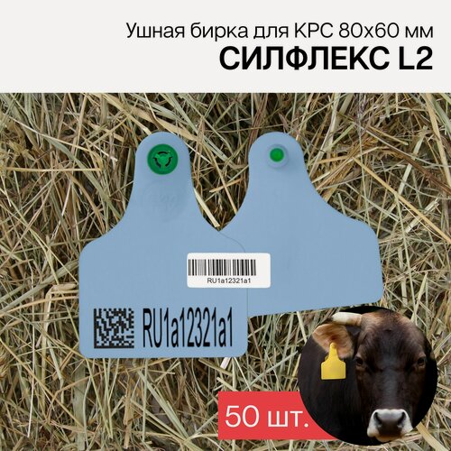 Изображение товара Бирки ушные для КРС с маркировкой рсхн+стикер 50 шт. Силфлекс L2 80х60 мм синие