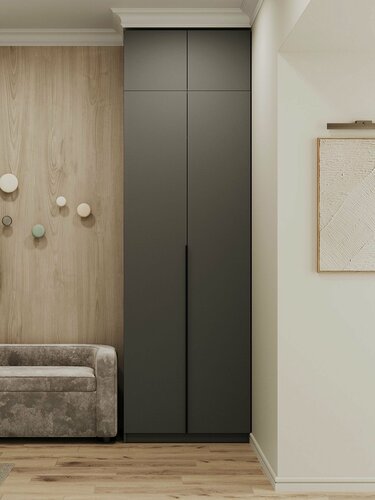 Изображение товара Распашной шкаф для одежды и хранения вещей Сеул, 2 двери, с полками, с ящиками, с антресолью, 80.1х50.6х260 см, Графит