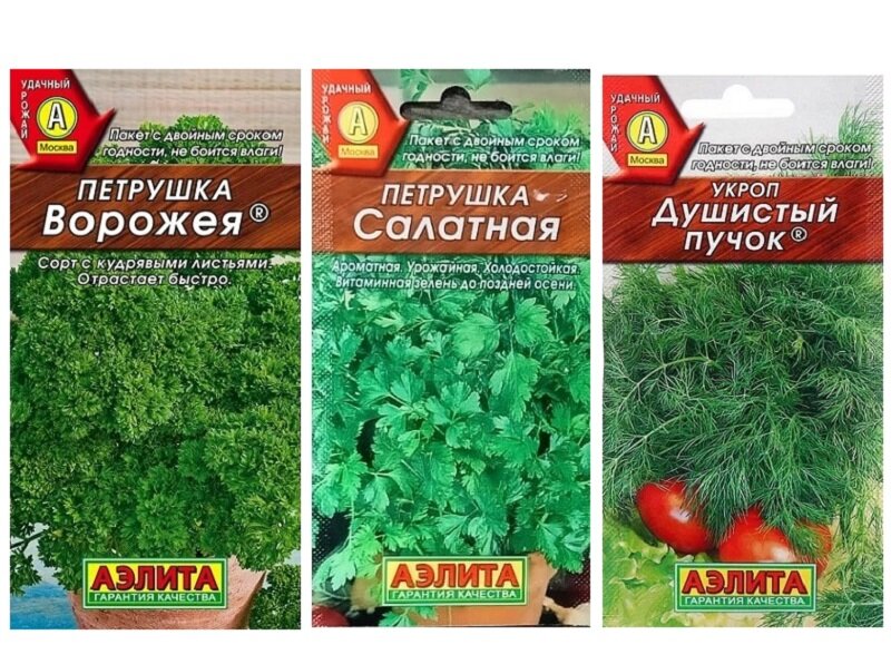 Набор семян Витаминный Фитнес (Укроп Душистый Пучок, Петрушка Салатная, Петрушка Ворожея)