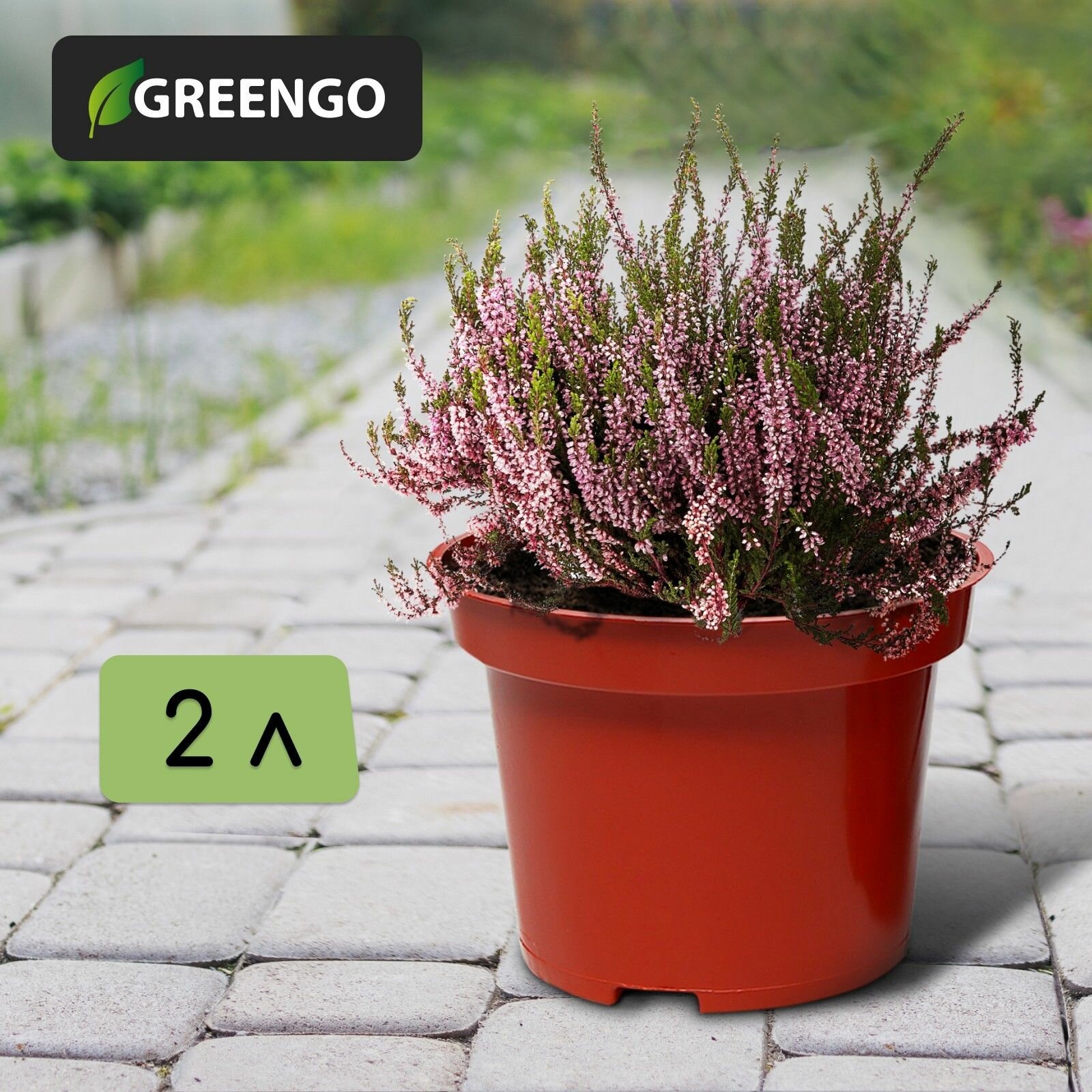 Горшок для рассады 2 л d 17 см h 13 см терракотовый Greengo 5 шт.