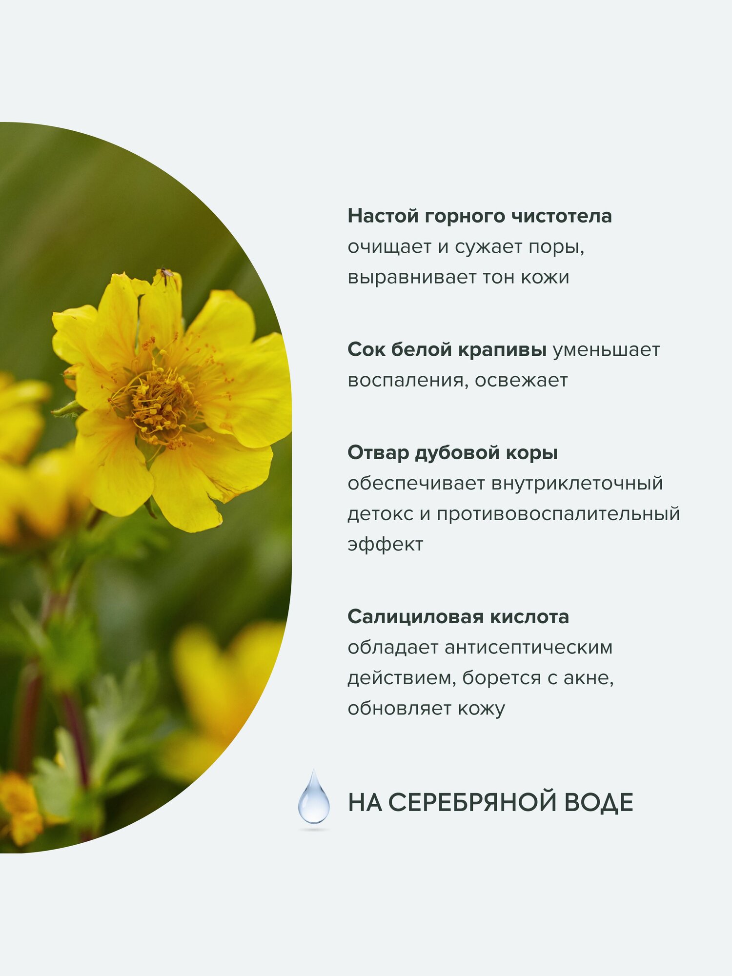 Тоник для лица Рецепты бабушки Агафьи Аптечка Агафьи Салициловый для проблемной кожи, 270 мл — фото 1