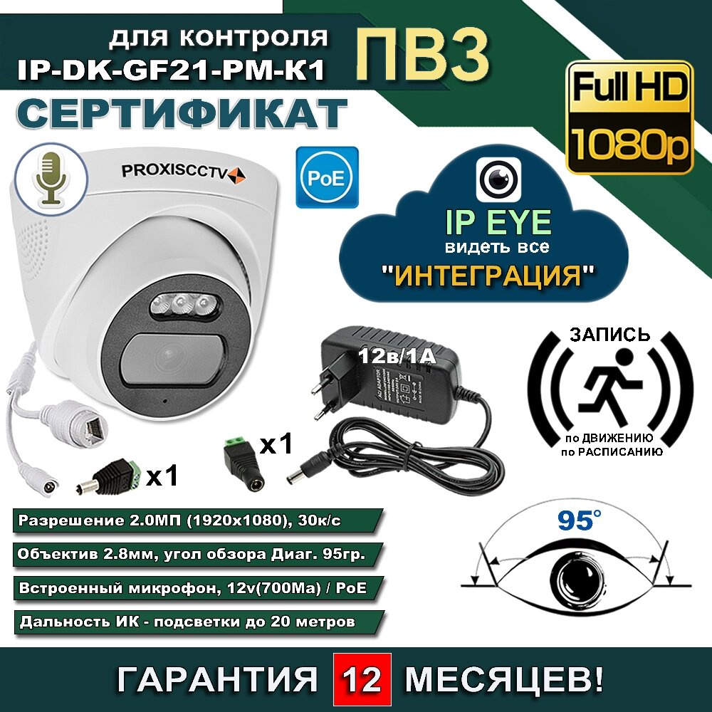 IP камера IP-DK-GF21-PM-K1 с блоком питания. Для пвз ipeye купольная