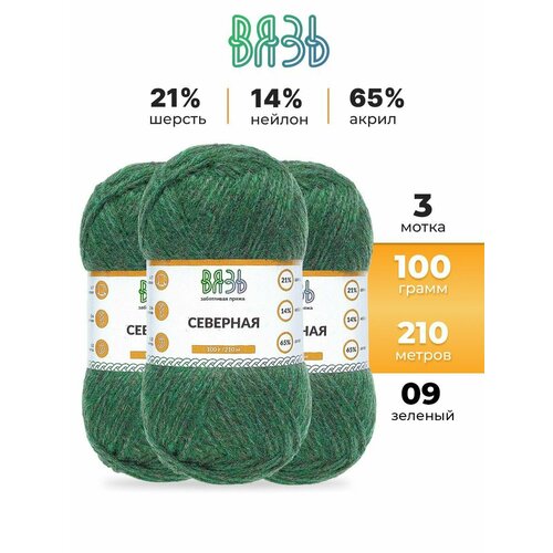 Пряжа для вязания Вязь 'Северная' 100г, 210м (21% шерсть, 14% нейлон, 65% акрил) (09 зеленый), 3 мотка