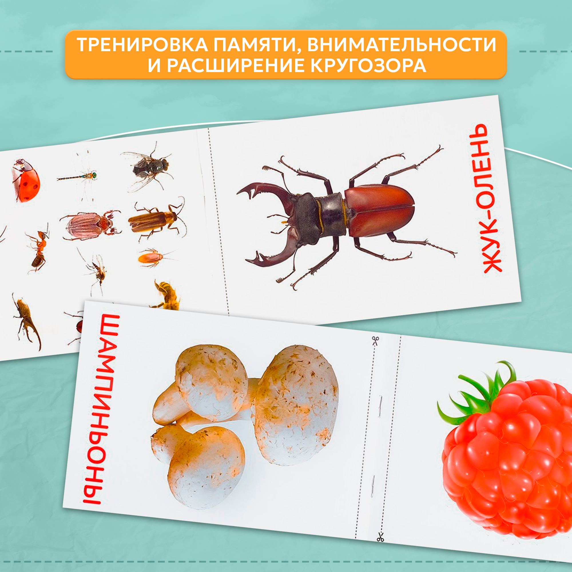 Книги "Карточки Домана. Окружающий мир", развивающие, набор 8 штук по 20 страниц, для детей и малышей — фото 1