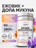 Ежовик Гребенчатый + L-Dopa (Экстракт семян мукуны) 90 капсул 280...