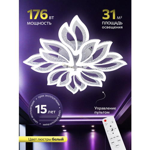 LEDCITY