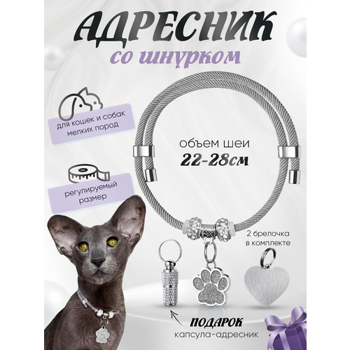 фото Ошейник шнурок "балуем котика", для кошек и собак, с адресником