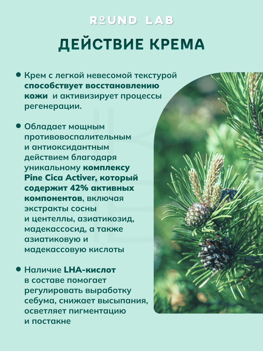 Крем с экстрактами сосны и центеллы для проблемной кожи | Round Lab Pine Calming Cica Cream 50ml — фото 1