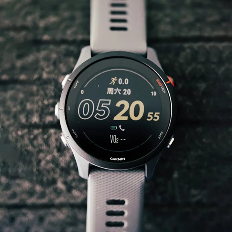 Garmin Forerunner 255 умные часы — фото 1