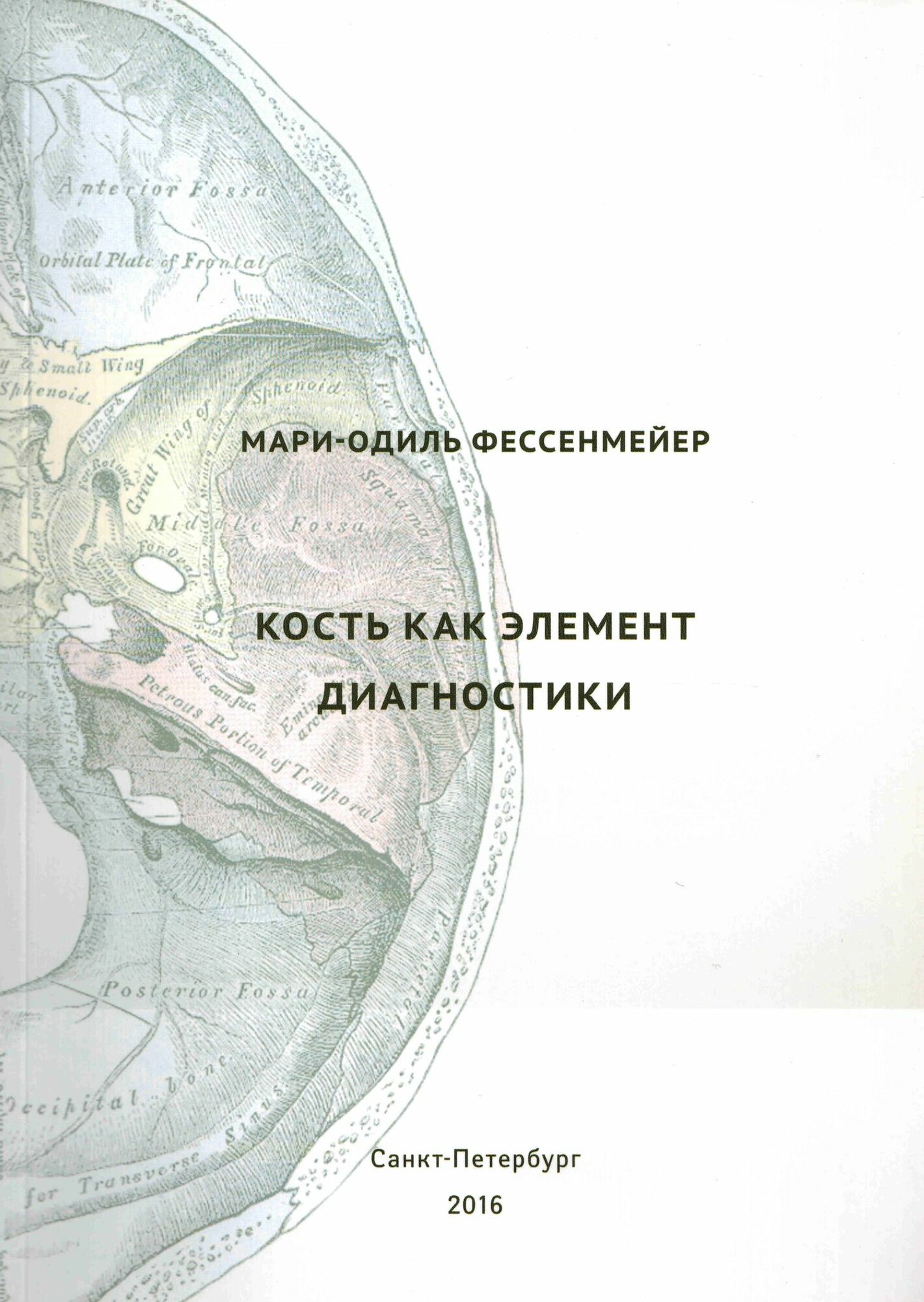 Кость как элемент диагностики