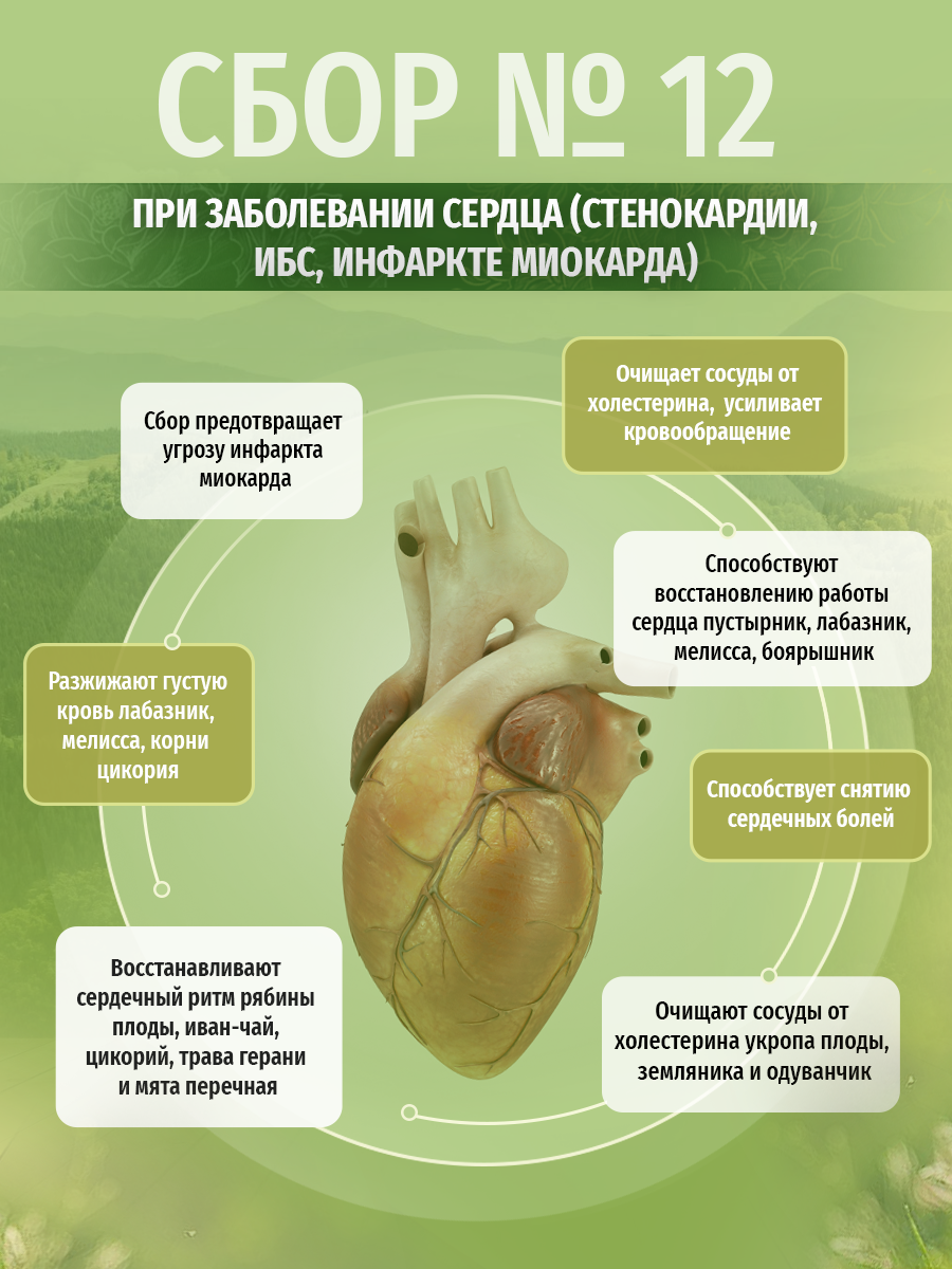 Картинки Сбор Травы Кавказа №12, от сердечно-сосудистых болезней, 200г