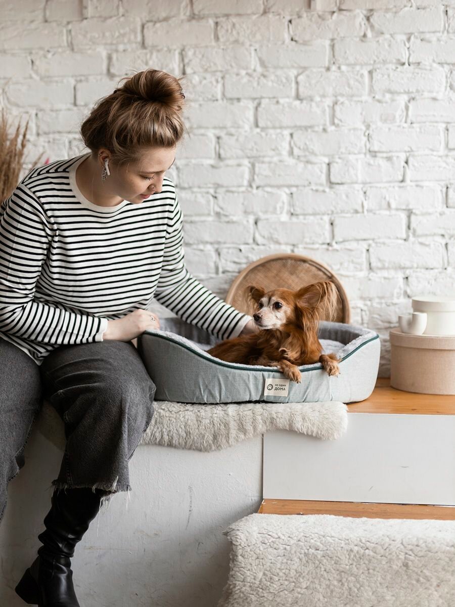 Картинки Лежанка для животных, для кошек, для собак, "Не Один Дома" Лесная полянка, серый, S, 50х35х14 см