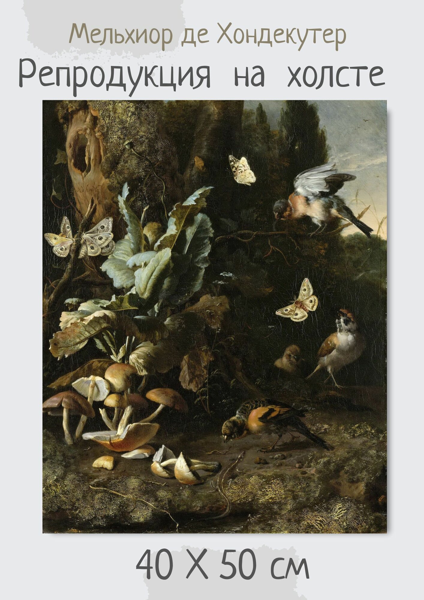 Хондекутер Мельхиор де "Птицы и растения". Картина 50х40
