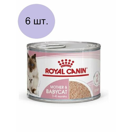 Royal Canin Mother & Babycat (мусс) Влажный корм для котят в период первой фазы роста и отъема, беременных и кормящих кошек 6 банок 195г