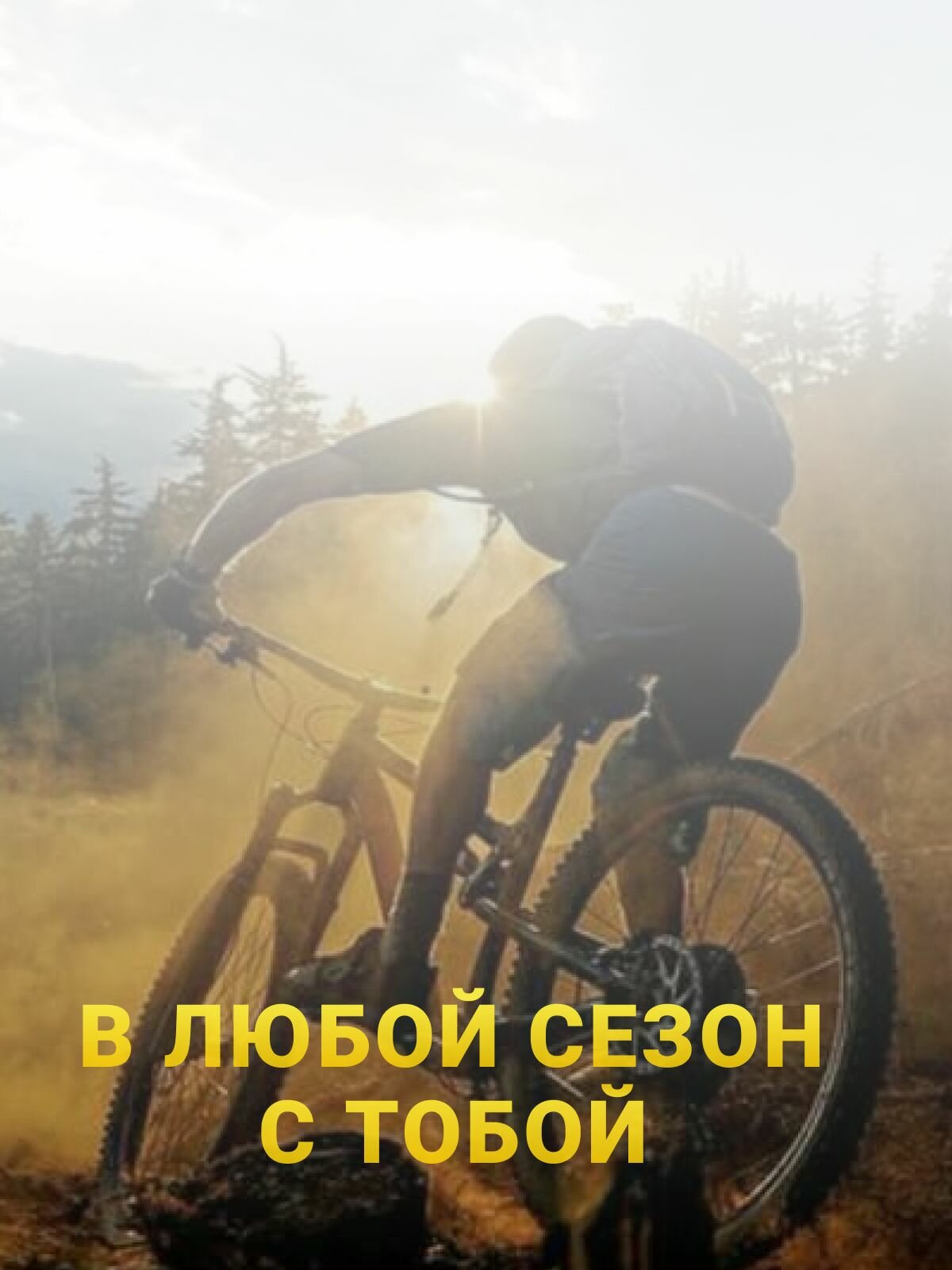 Ролики для заднего переключателя велосипеда 11T , комплект 2 шт. / Алюминиевые с подшипниками CNC — фото 1
