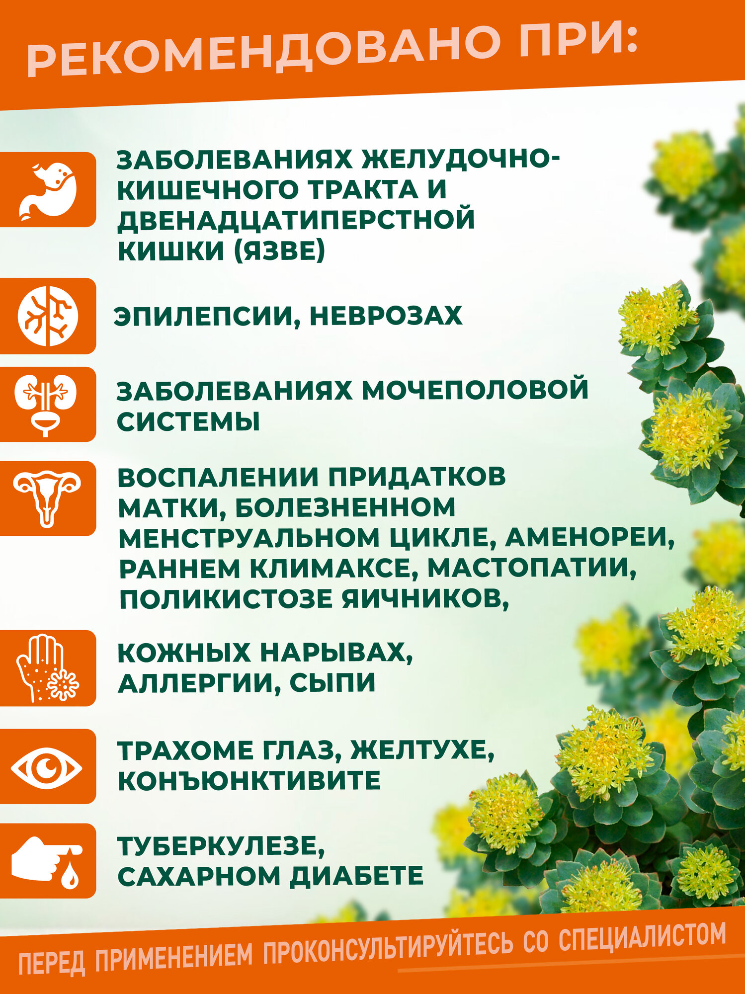 Картинки Экстракт Родиолы Розовой Алтайский Заготовитель, безалкогольный, 200мл