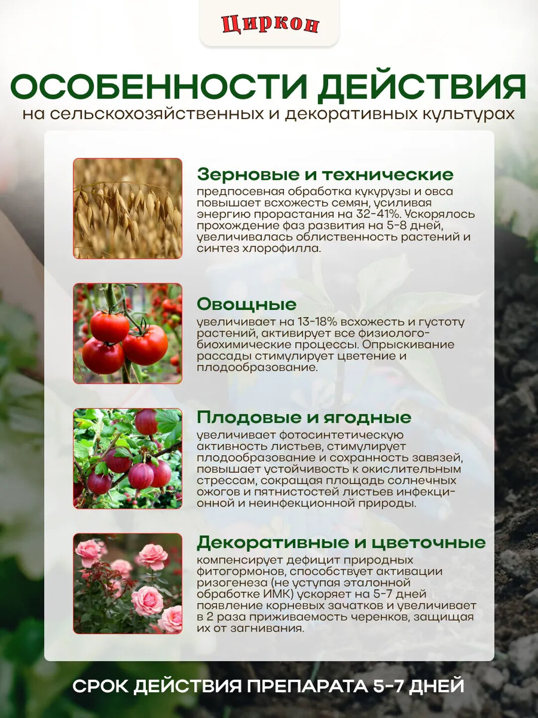 Циркон — биорегулятор роста для ваших растений: надёжная защита, здоровье и сила — фото 1