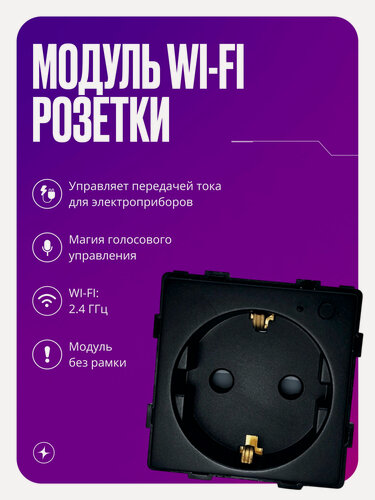 Изображение товара Умная розетка WIFI, модуль без рамки, с заземлением и шторками, 16А, черная, для умного дома