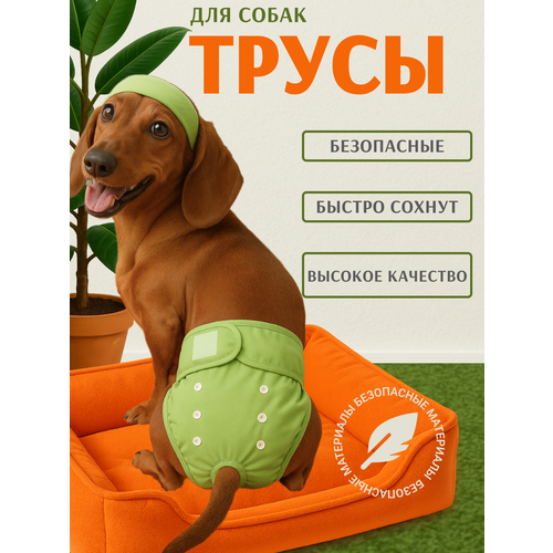 Трусы для собаки во время течки многоразовые S, подгузники для собак миниатюрных пород впитывающие