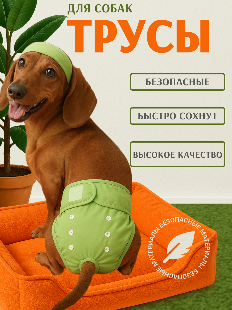 Трусы для собаки во время течки многоразовые L, подгузники для собак миниатюрных пород впитывающие