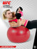 Гимнастический мяч UFC - 65см