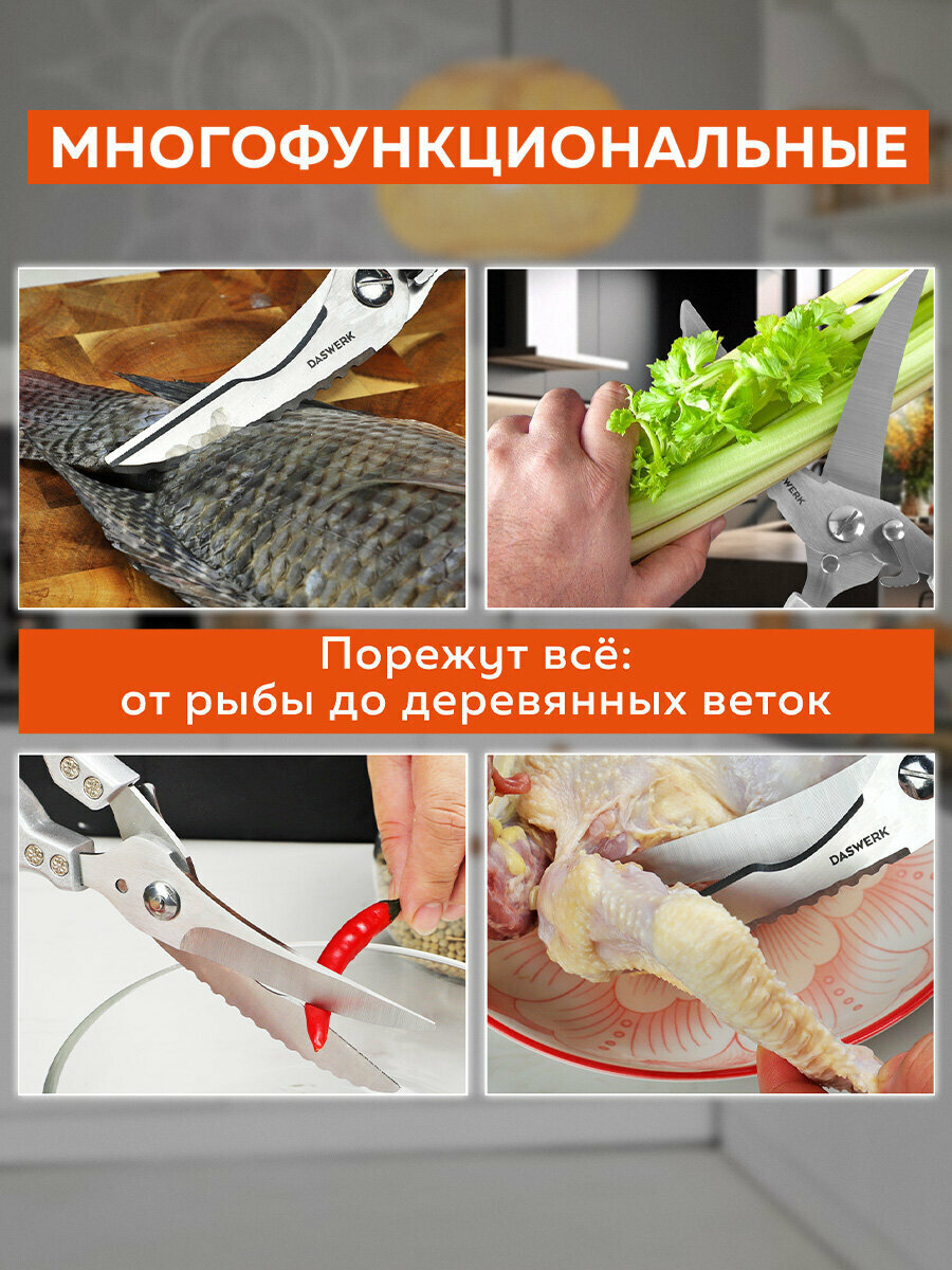 Изображение Ножницы-секатор кухонные Daswerk (Дасверк), 260 мм, фиксатор, зазубренные, металлические, 608902