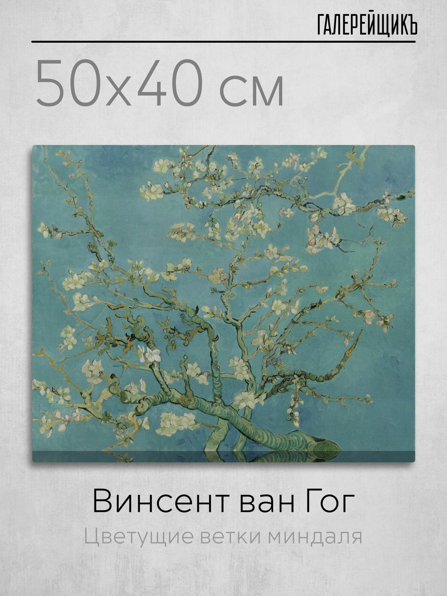 Картина на холсте, Винсент ван Гог "Цветущие ветки миндаля", 50x40см / Галерейщикъ