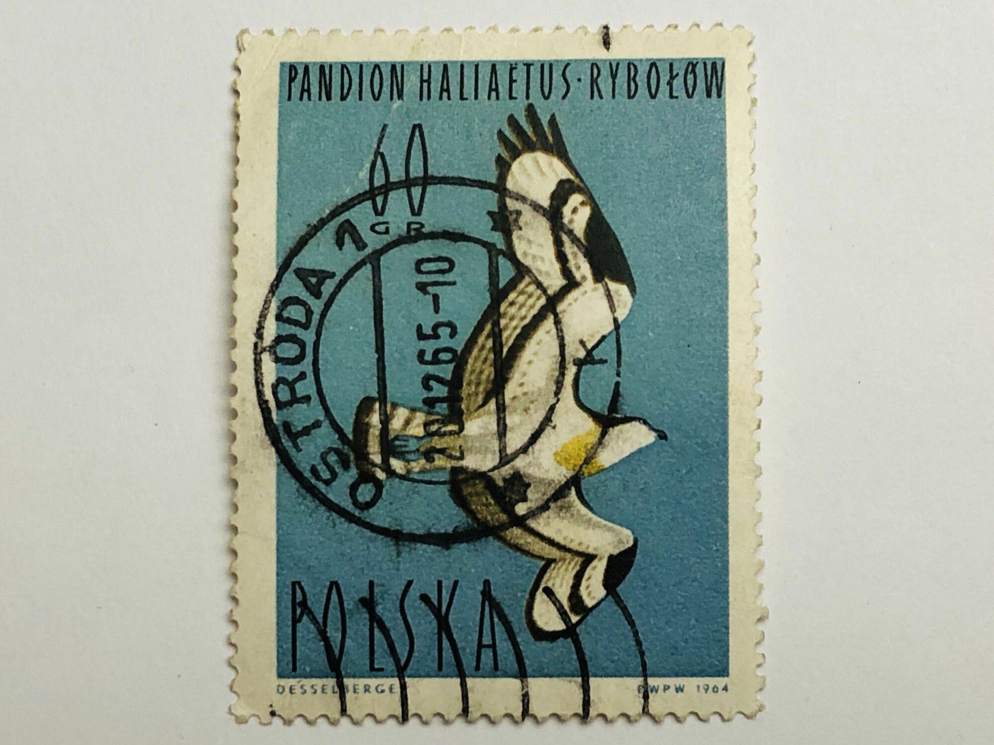 Почтовые марки Птицы. Водоплавающие птицы. Скопа. 60 гр. Польша. 1964. Гашен
