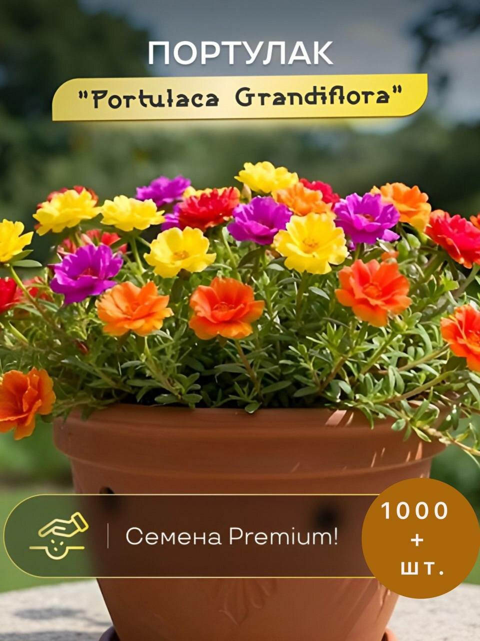 Портулак Грандифлора микс 1000 плюс семян