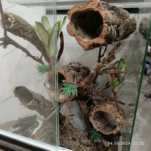 Пробковая кора туннель диаметр 100мм длинна 400мм 1500₽