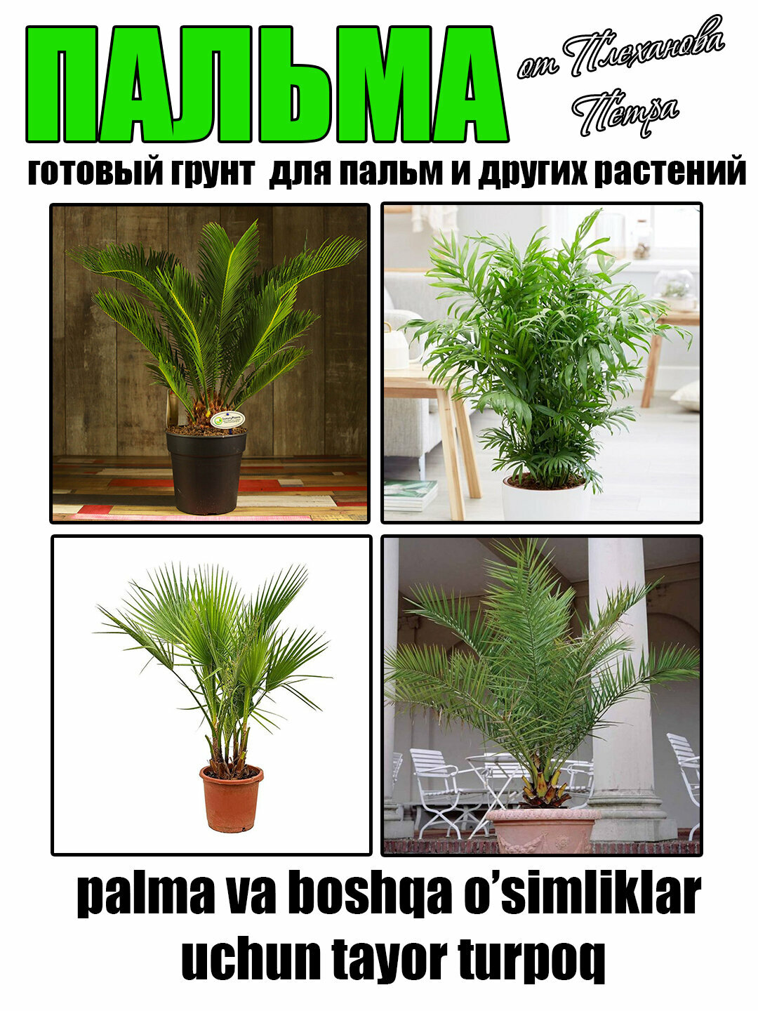 Грунт для пальмы готовый от Петра Плеханова — фото 1