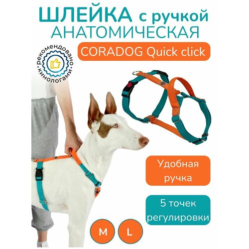 Шлейка с ручкой прогулочная анатомическая для средних и крупных пород собак, CORADOG Quick click, размер M, цвет бирюзовый, оранжевый