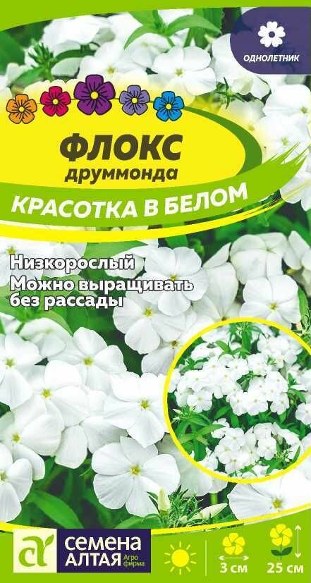 Флокс Красотка в белом Друммонда/Сем Алт/01г