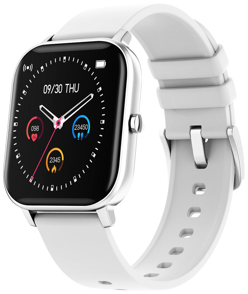Смарт часы Canyon Wildberry Sw-74, IP67 , спортивные режимы, белый (cns-sw74ss) .