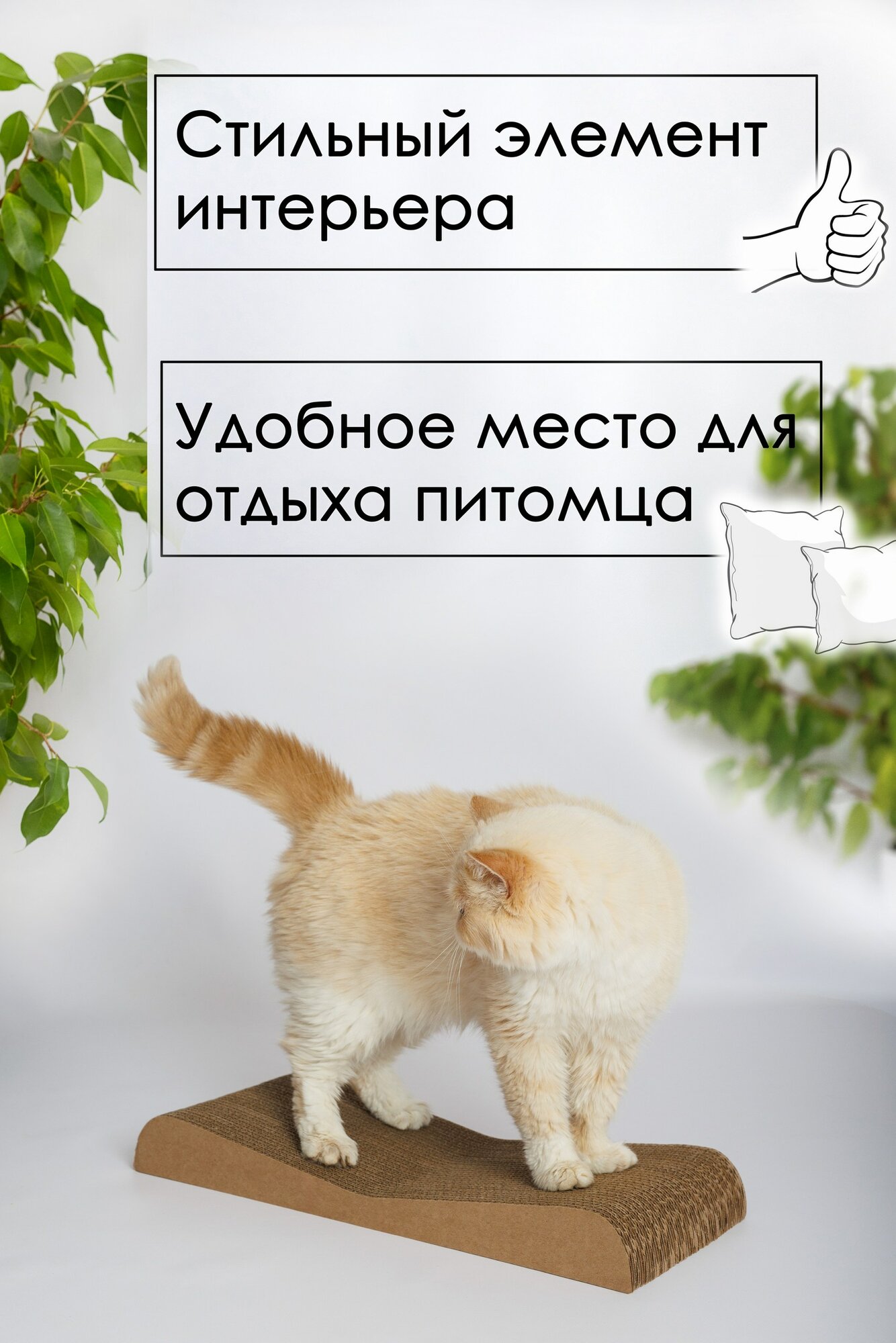 Когтеточка для кошек картонная Зверьё Моё лежанка, двусторонняя ДЮНА — фото 1