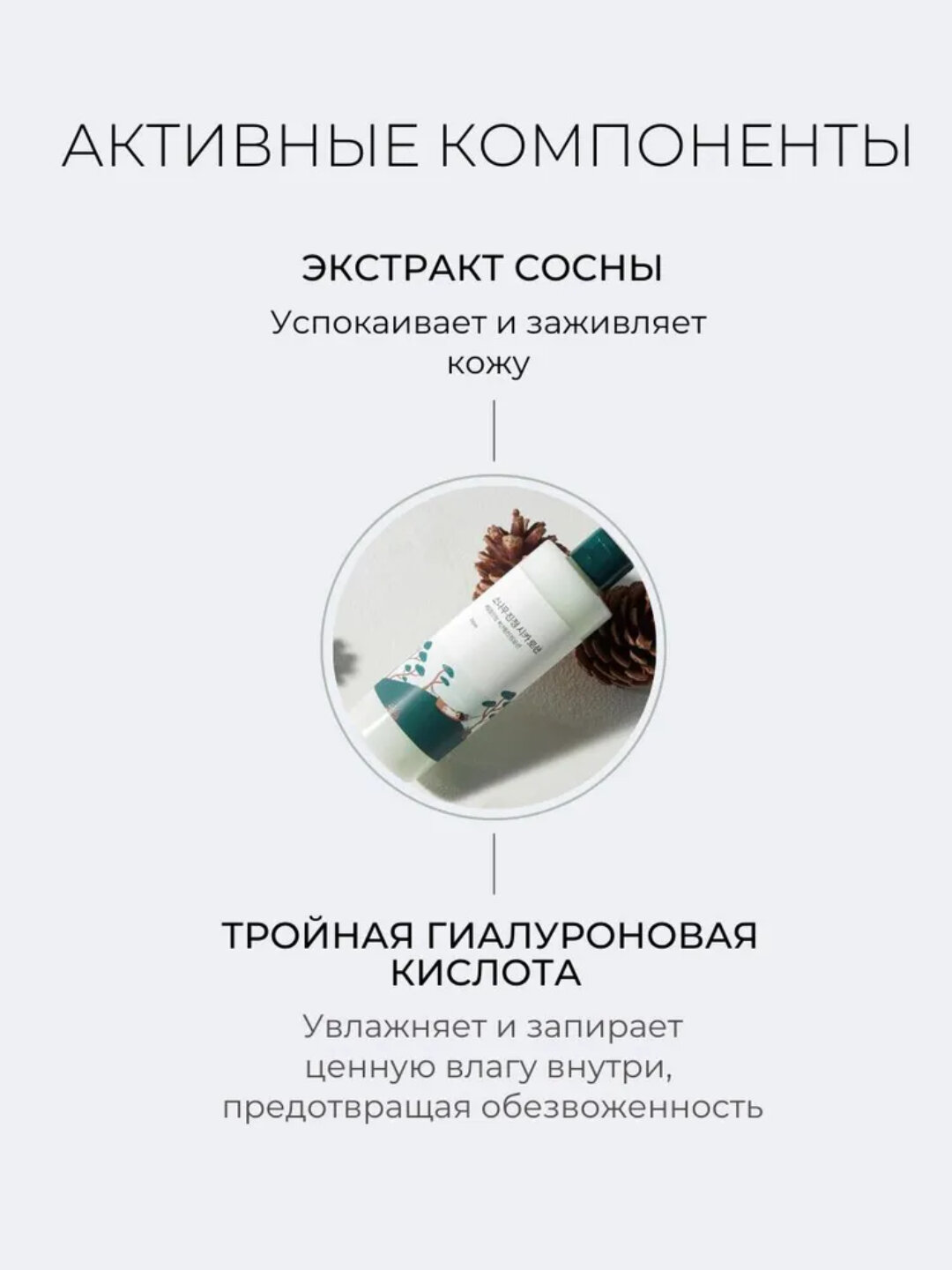 Round Lab Pine Calming Cica Lotion – Лосьон с экстрактами сосны и центеллы для проблемной кожи, 250 мл — фото 1