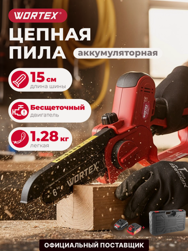 Изображение товара Пила цепная аккумуляторная WORTEX CEC 2518-2 ALL1 С АКБ и З/У (1334828)