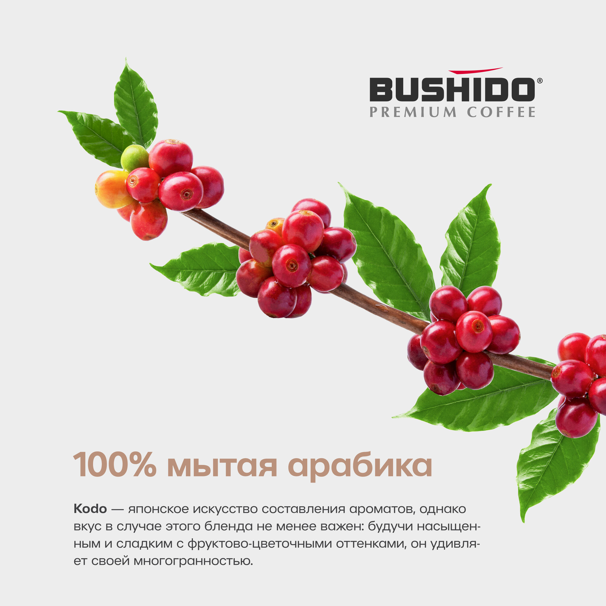 Кофе растворимый Bushido Kodo с молотым кофе, стеклянная банка, 95 г — фото 1