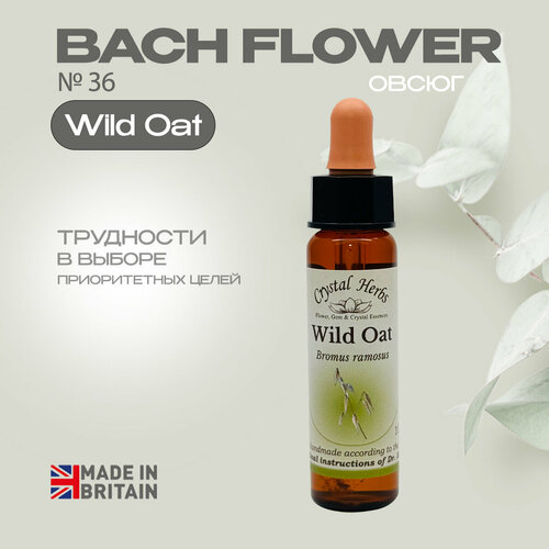 Цветы Баха, эссенция №36 Wild Oat (Овсюг) Уайлд оут - капли 10 мл. Англия