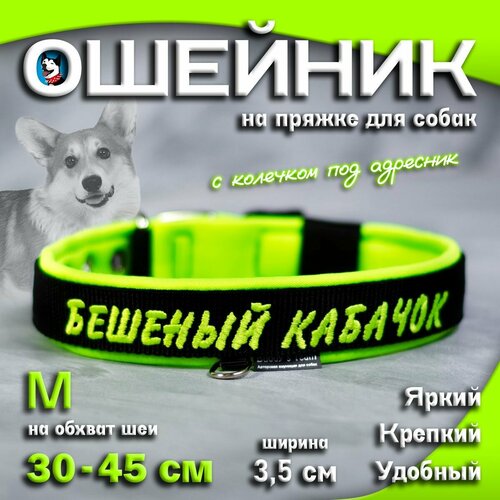 Ошейник для собак Buddy team на пряжке, с вышивкой бешеный кабачок, ширина 3,5 см, с мягким подкладом для средних и крупных пород, размер M