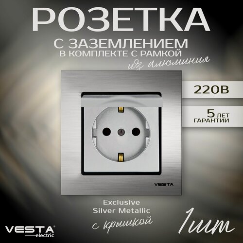 Изображение товара Розетка одинарная с заземлением с крышкой в рамке из алюминия серебристая Metronex-Electric Exclusive Silver Metallic