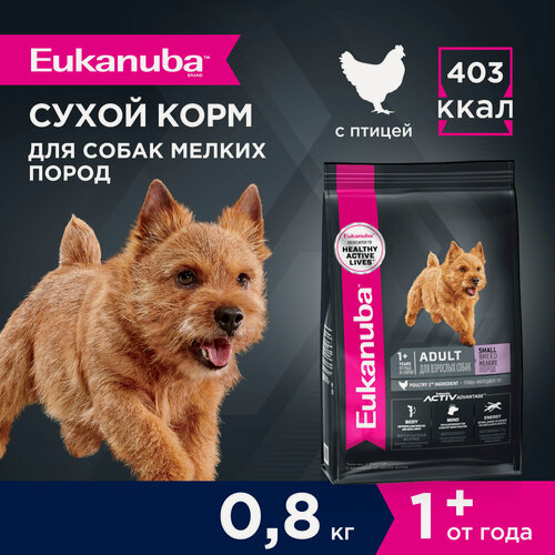 Изображение товара Сухой корм для собак Eukanuba Adult Small Breed для мелких пород , 0,8 кг