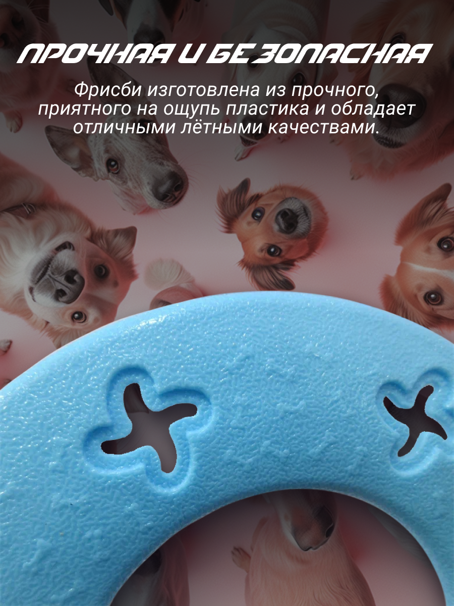 Игрушка фрисби для собак ZooWell Play, игрушка для собак Кольцо, D22 см — фото 1