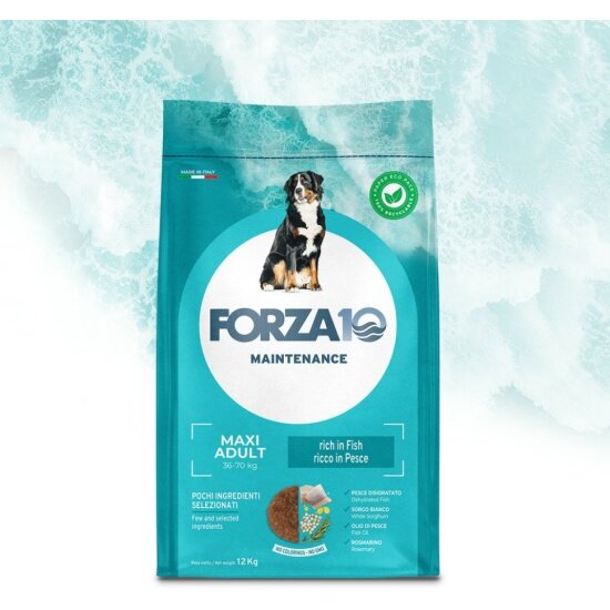Корм сухой FORZA10 Maintenance Maxi Adult для взрослых собак крупных пород с рыбой, 12 кг