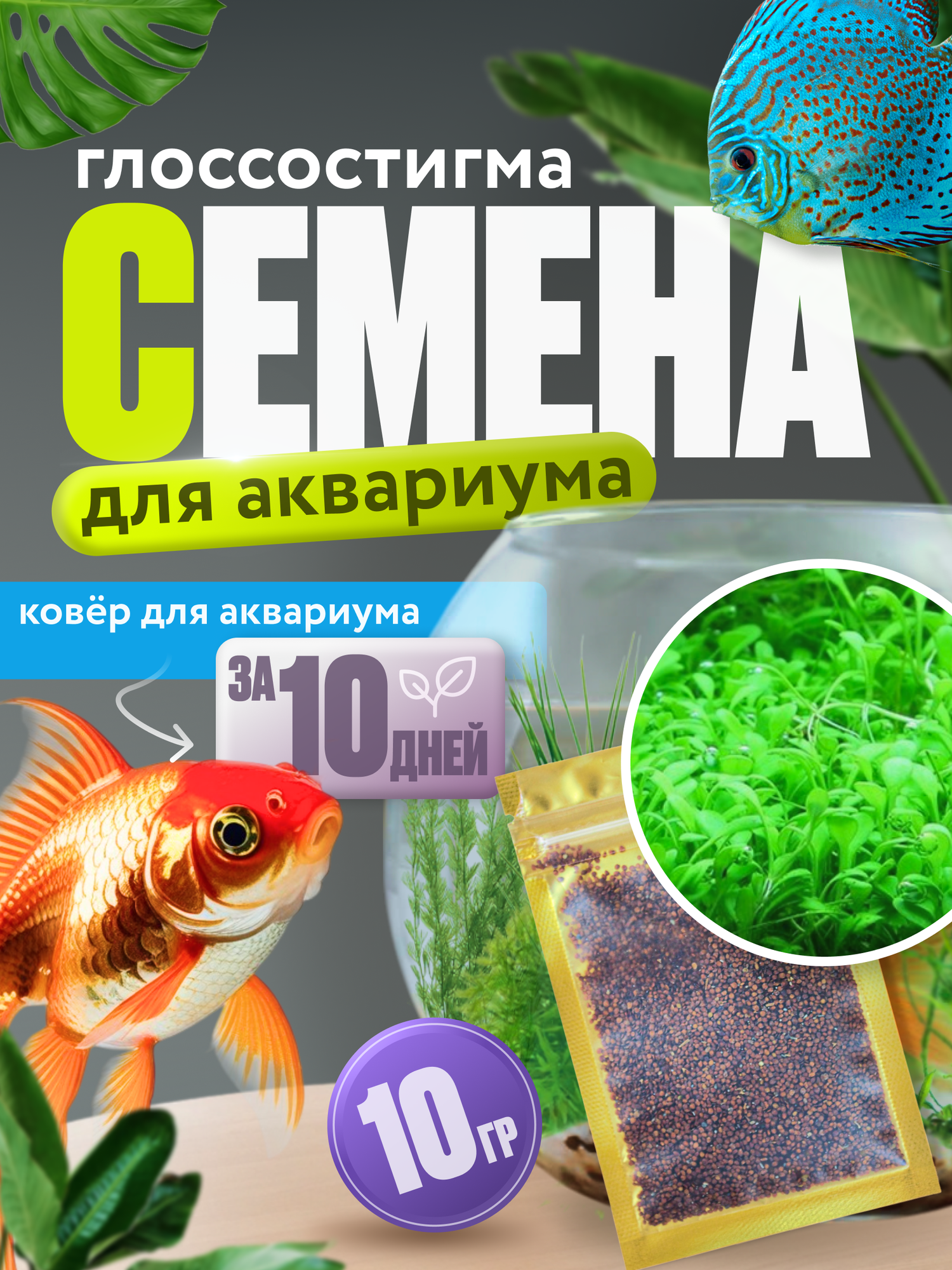 Семена растений для аквариума Glossostigma 10 гр