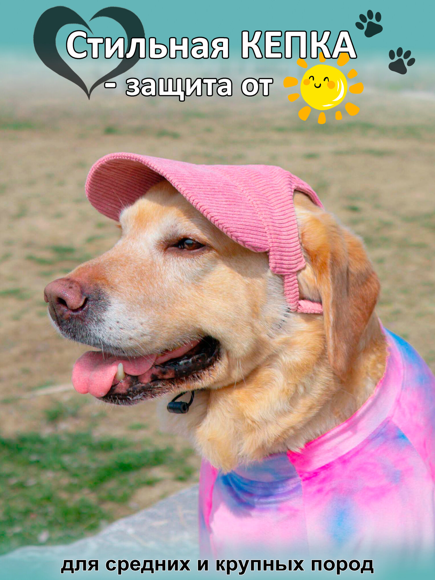 Кепка для собак средних и крупных пород "Вельвет" цвет розовый размер M Rexy Crew