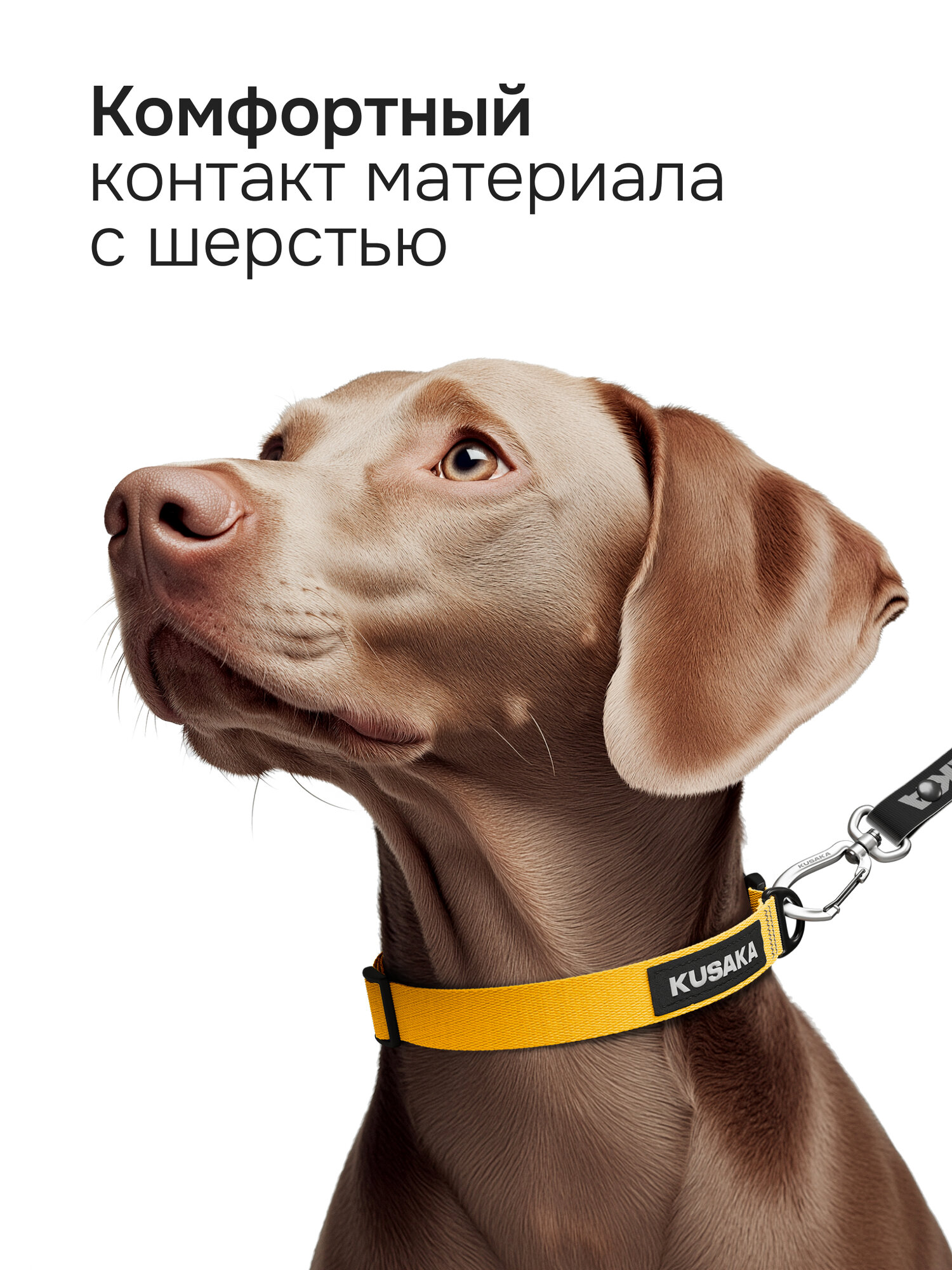 Ошейник для собак KUSAKA желтый, размер S (для мелких пород) — фото 1