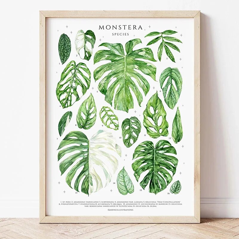 Постер Monstera. Зеленый, 30x40 см